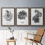 B&W d'intérieur plante I - ensemble de 3 peintures sur toile encadrées-2044643274-2044643285