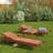 Alyisa Outdoor Eucalyptus Wood Chaise Lounge Set with Table