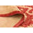 Olson Red Rug