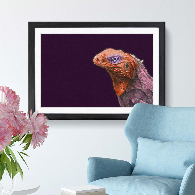Red & Purple Iguana Lizard - Picture Frame Photograph Print, 36cm H x 48cm W x 2cm D, Black Framed