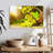 Yarlin Freshly Picked Grapes-107675007