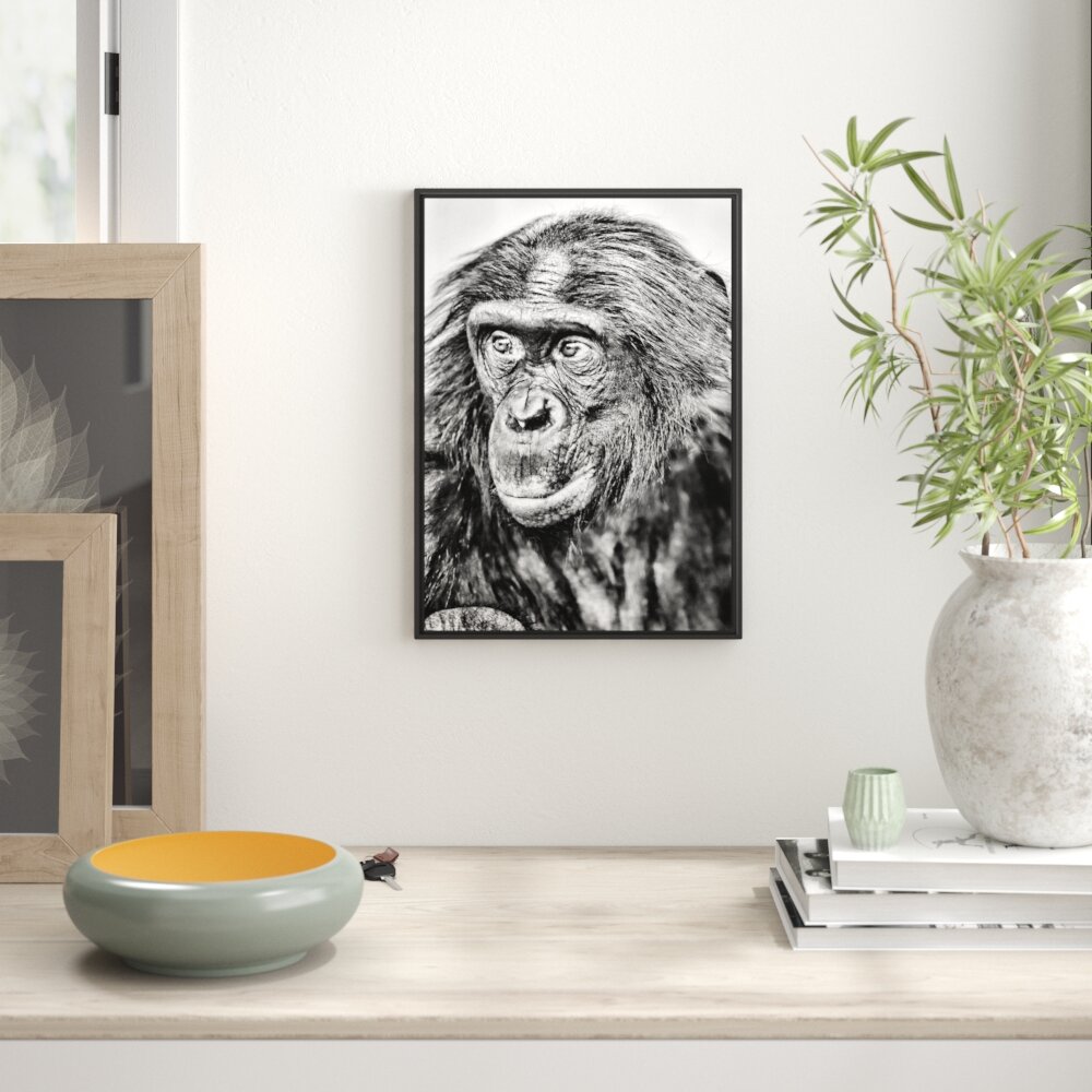 Gerahmtes Wandbild scheuer junger Gorilla