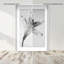 Delicate Spots Framed Graphic Art-1139302473-1139302479