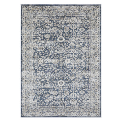 Aldonija Oriental Indoor Rug