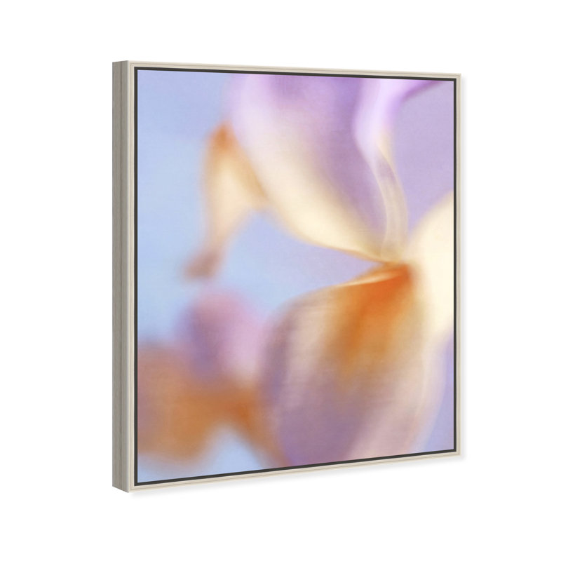 Blurred Venus Print by Oliver Gal, 37"H x 46"W, Silver Floater Frame