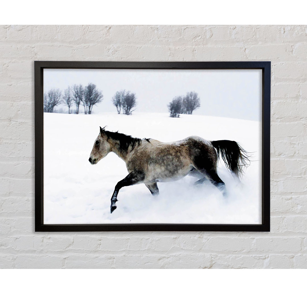 Stallion In The Snow - Einzelner Bilderrahmen Kunstdrucke auf Leinwand