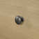 Salvat Transitional 5- Drawer Chest