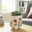 Sagebrook Home 6" Footed Hand Painted Planter, Multi