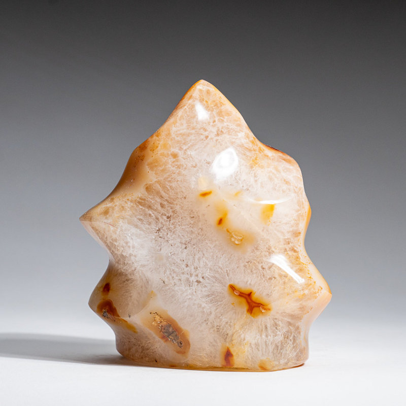 Véritable forme d'agate polie véritable flamme de Madagascar (2,1 lb)