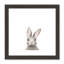 Art encadré en lapins forestières-48163433-48169568