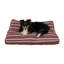 Classic Dog Bed-1972604442