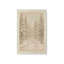 Impression sur toile Twilight Pathway-1133813764-1133813767