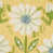Bouton d'or