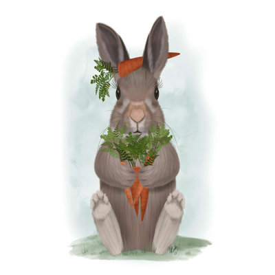 " Rabbit Carrot Hug "