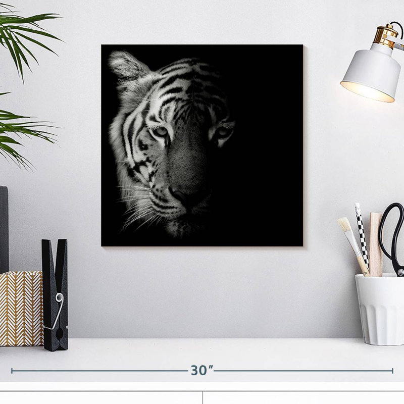 Brampt Tiger Contour, 16" H x 16" W