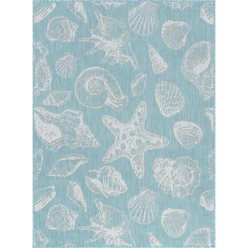 Seraphine Flatweave Indoor / Outdoor Rug, Rectangle 4' x 5'3"