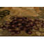 Tapis brun Van Vineyard-532625099