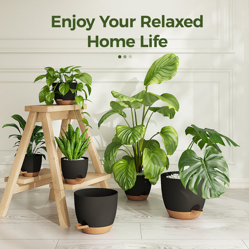 6 Pack Indoor Plant Pots Shelf Watering Planters for Indoor Plants with Drainage Hole Plastic Plant Pot for Home Gardening Containers(Black)