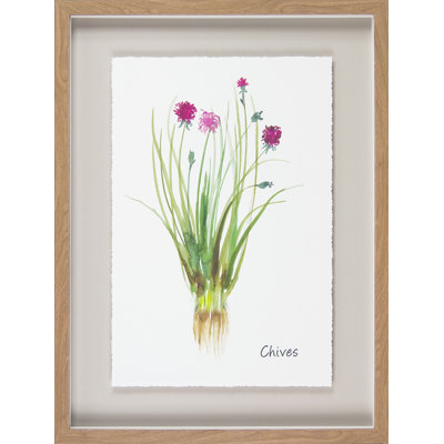 Herb Study II - Print