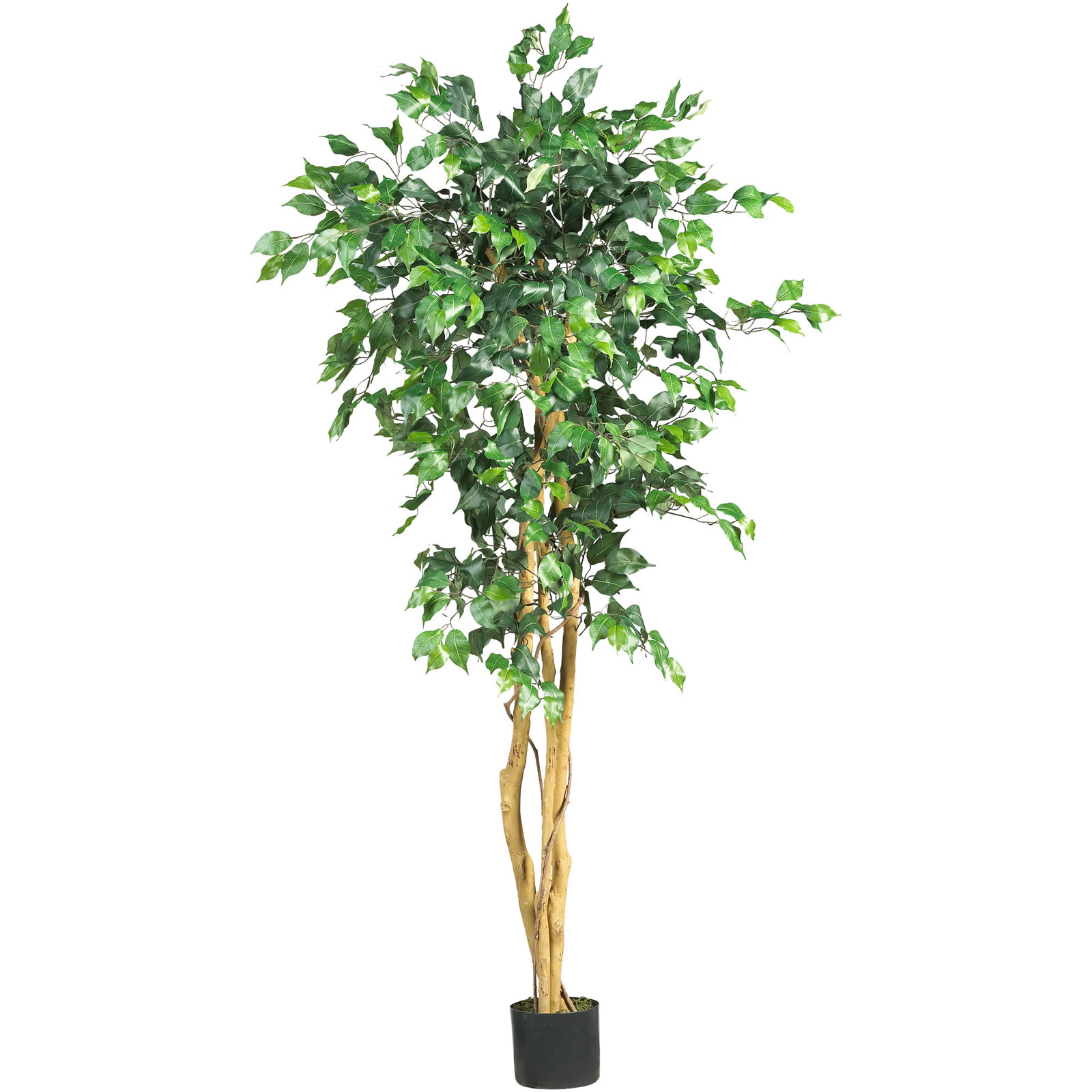 Faux Ficus Tree in Planter, 96" H x 44" W x 44" D