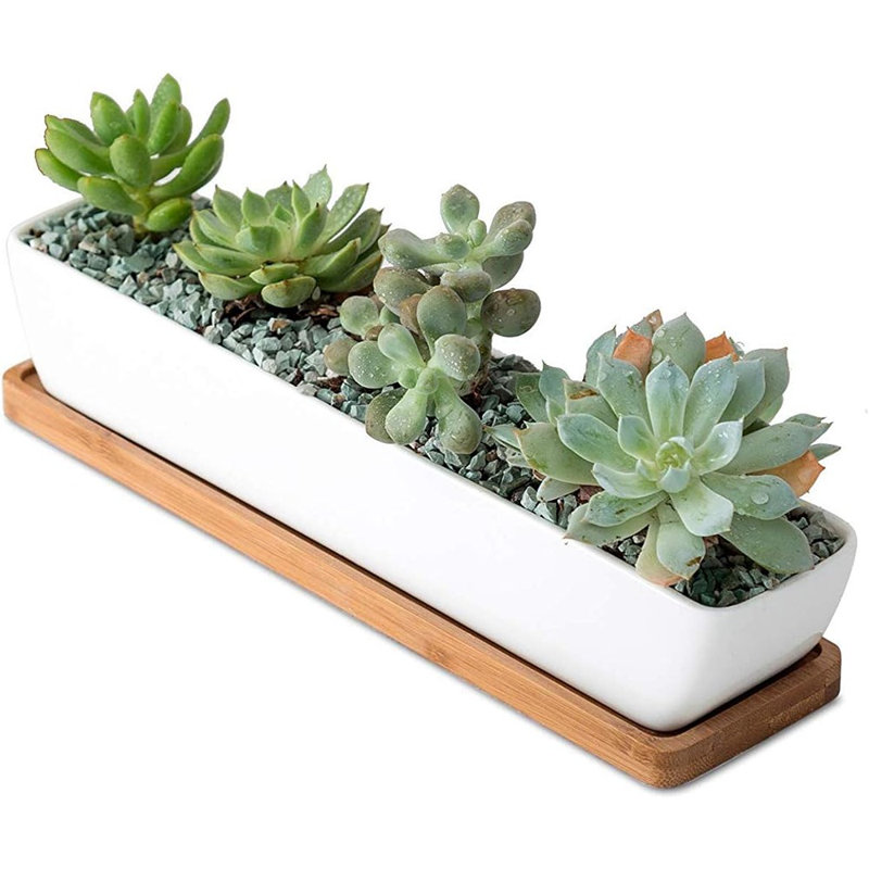 White Rectangular Long Succulent Planter Pot,11.1X2.36...