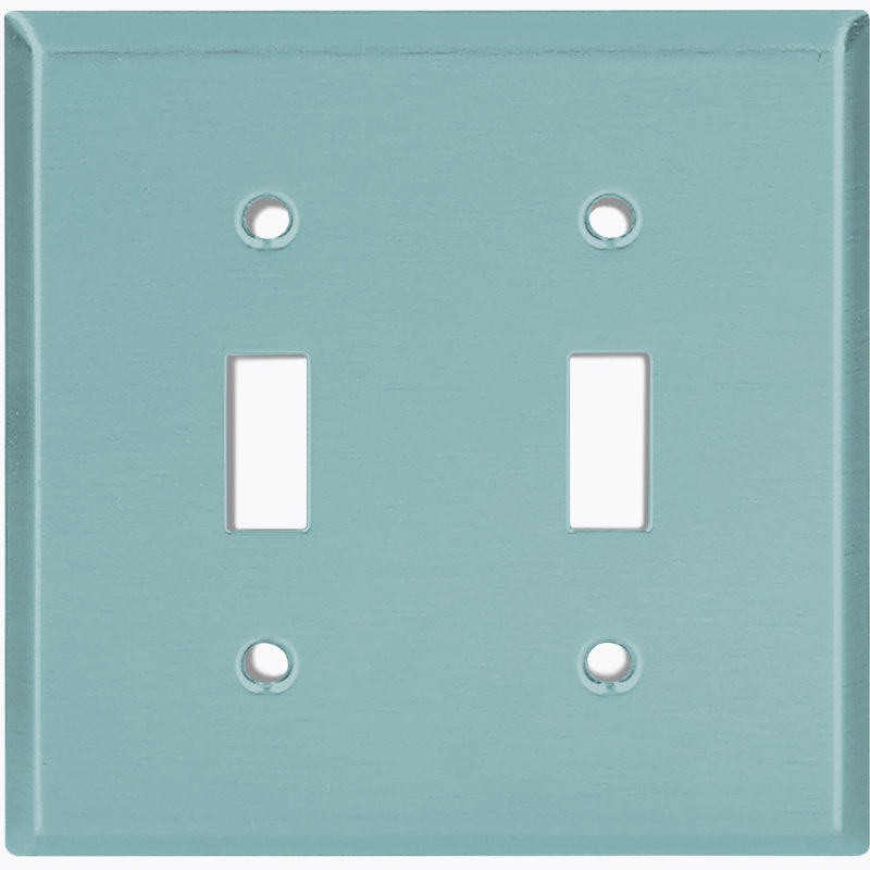 No Subject 2 - Gang Toggle Light Switch Standard Wall Plate, Mint Green