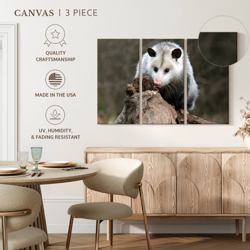 Brampt Opossum, 42" H x 65" W