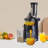 250W Cold Press Juicer with Cups for Fruit