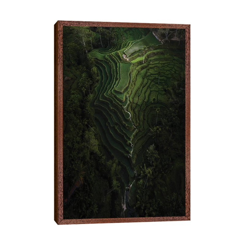 Bali IV by Daisuke Uematsu - Print on Canvas, Classic Brown Wood Framed, 66.04cm H x 45.72cm W x 3.81cm D