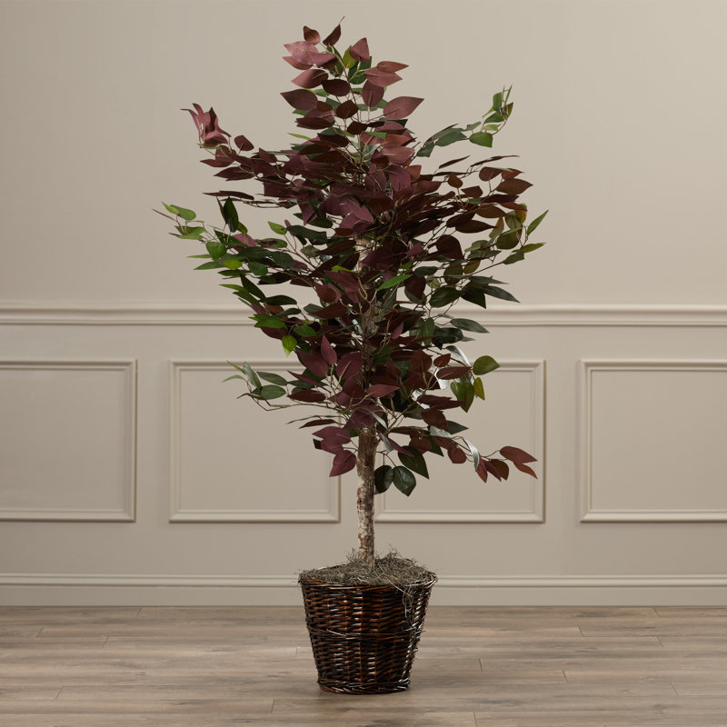 4' Artificial Capensia Bush, Rattan Basket