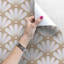 Caraway Matte Mural-1171437736
