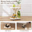 2-tier Bar Cart, Mobile Bar Serving Cart