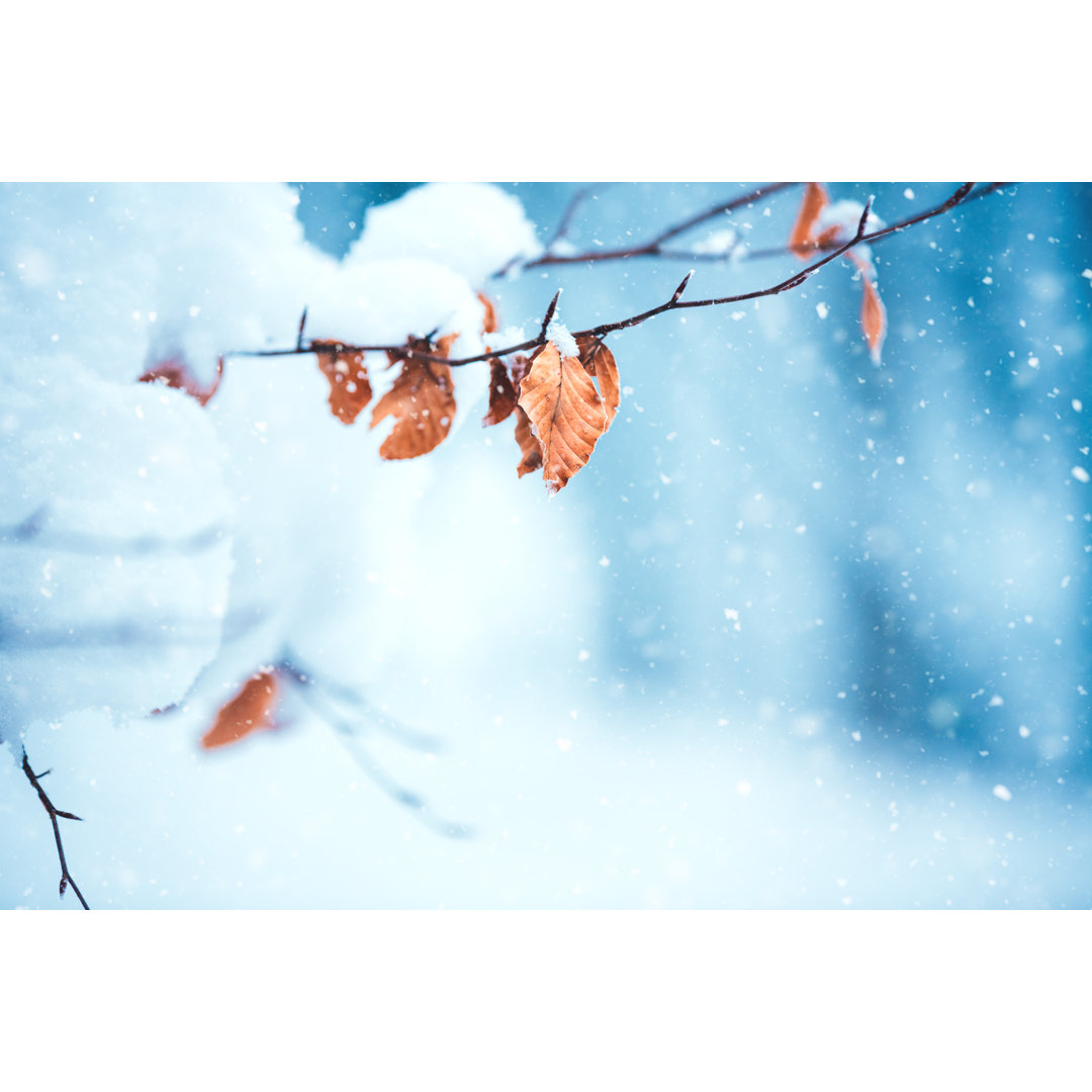 Winter Forest von Borchee - Kunstdrucke auf Leinwand ohne Rahmen