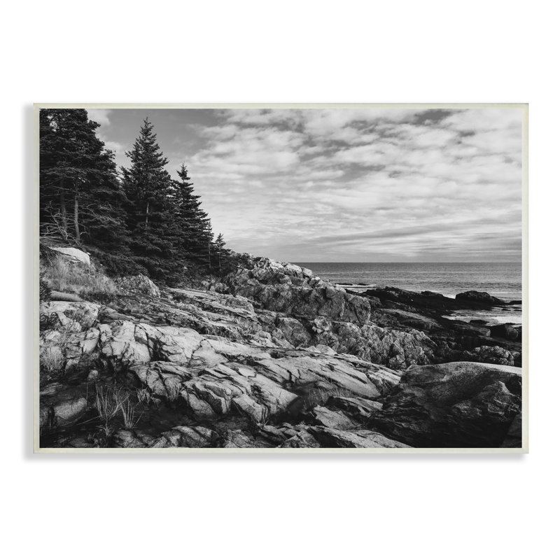 Océan rocheux, côte nuageuse, monochrome, nature, Plaque murale, L 16 po x H 20 po