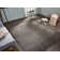 Noelle Area Rug in Gray