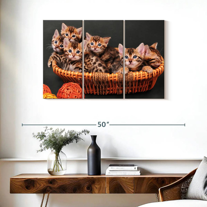 Panier de chatons du Bengale, H 24 po x l 38 po