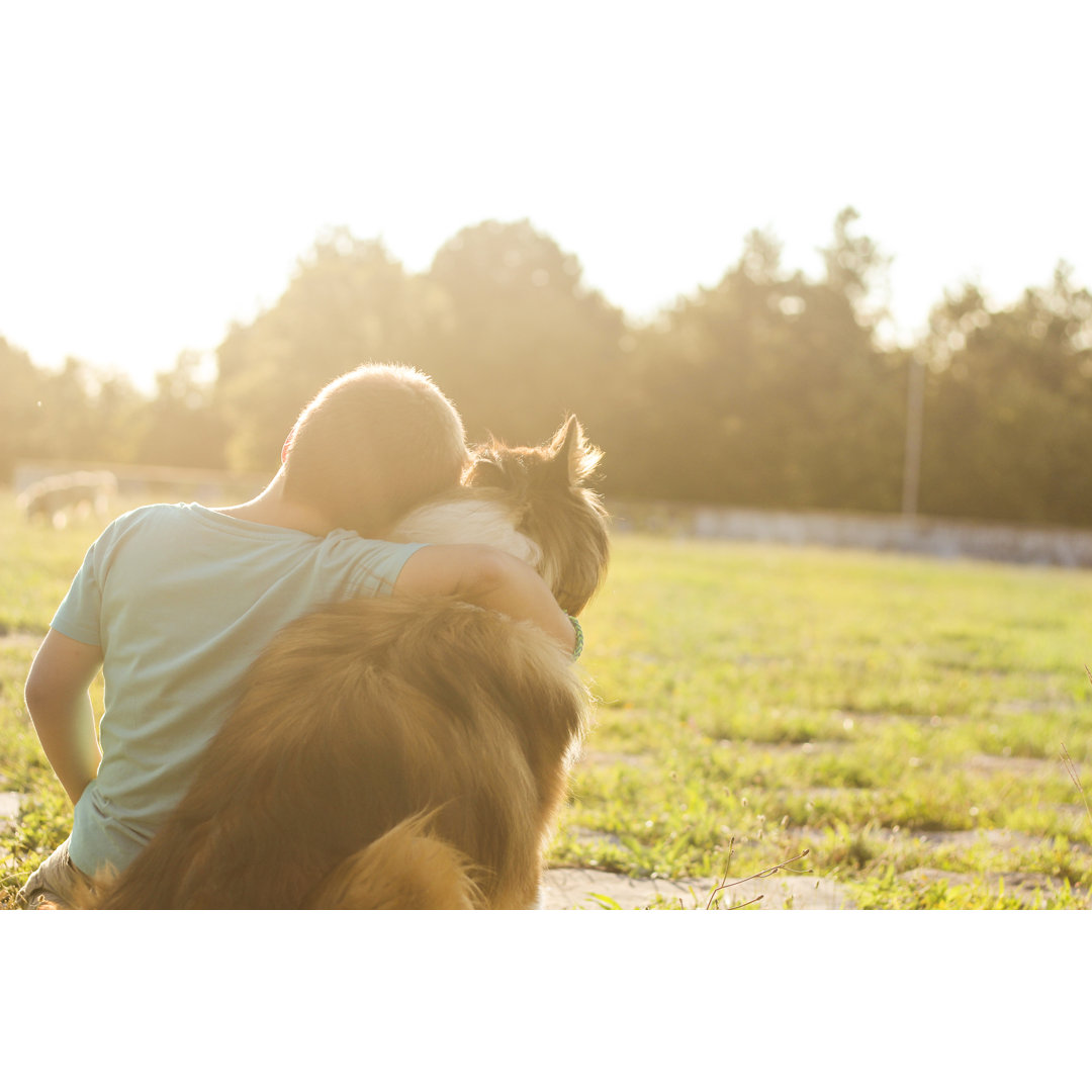 Junge mit seinem Hund bester Freund im Sonnenuntergang by Milan_Jovic - Drucken