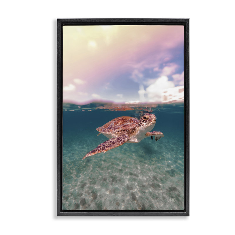 Toile flottante «Above & Dessous Sea Turtle» par Max Blakesberg Studios, H 31 po x l 21 po, Cadre flottant noir de jais