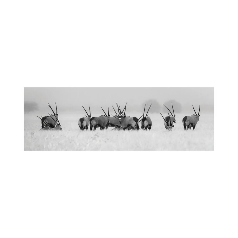Oryx In The Rain by Kirill Trubitsyn - Wrapped Canvas Panoramic Print, 121.92 cm H x 40.64 cm W