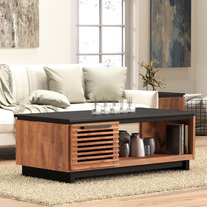 Table basse de 47 po Home. Sans assemblage. Finition deux tons. Peuplier et. Rectangulaire, deux portes, lattes. Meuble de décoration de salon contemporain scandinave noir Bourbon peuplier, portes