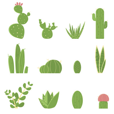 Cacti And Succulents by Oksana Rusalova - Wrapped Canvas Print