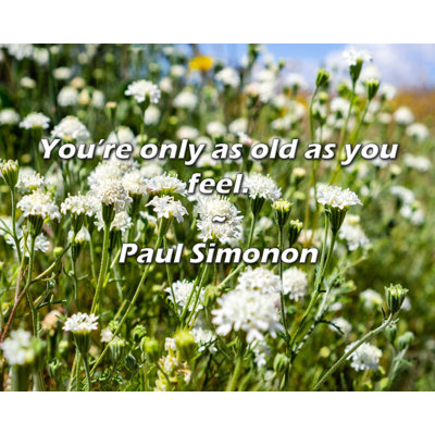 Citation de Paul Simonon: Vous êtes aussi vieux que vous le pensez.