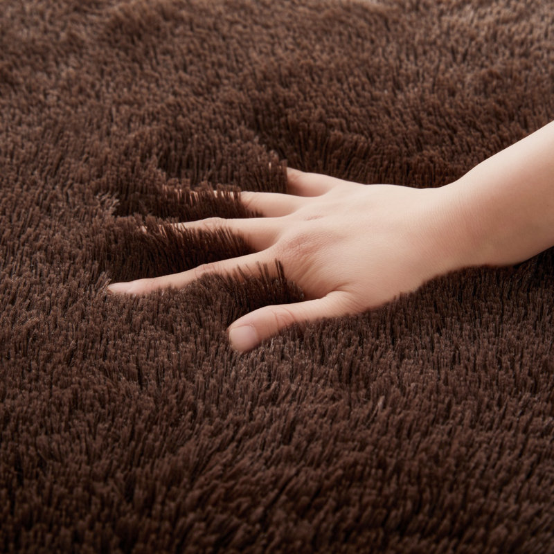 Soft Fluffy Indoor/Outdoor Shaggy Area Rug – Luxurious Comfort & Stylish Design, Rectangle 6" x 9"