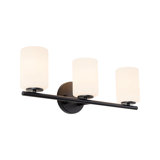 Ezra 22-in Black dimmable Bathroom Vanity Light