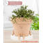 Cute Pots Pot Planter