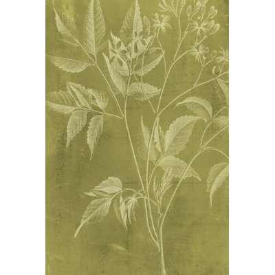 Modern Botany V by Vision Studio - Wrapped Canvas Painting