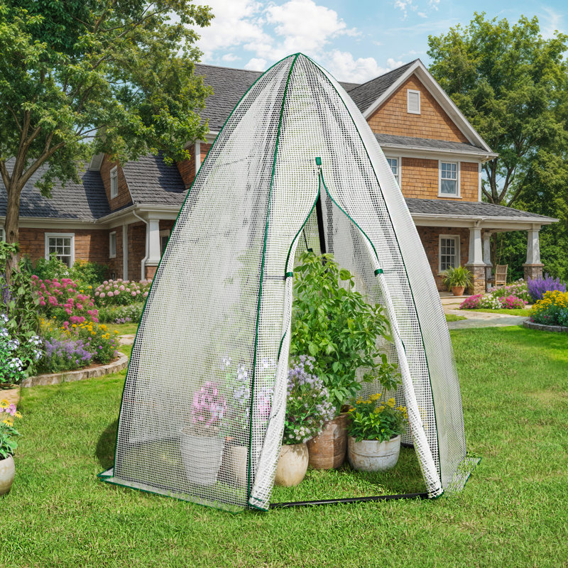 Small Hexagon Greenhouse With PE Cover