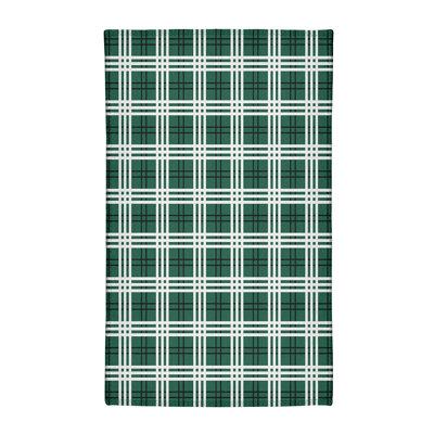 Plaid Indoor Rug