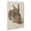 Hare by Albrecht Dürer - Wrapped Canvas-61887489
