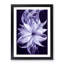 Striking Flower - Wall Art-1806704838-1806704837